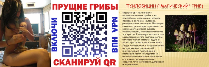 Галлюциногенные грибы Cubensis  Арамиль 