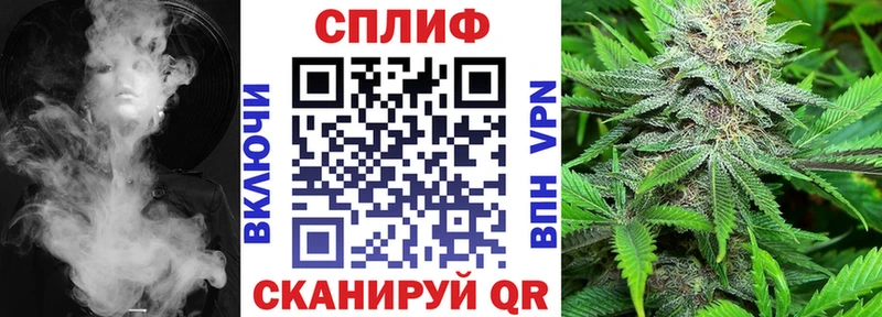 Конопля сатива  Арамиль 